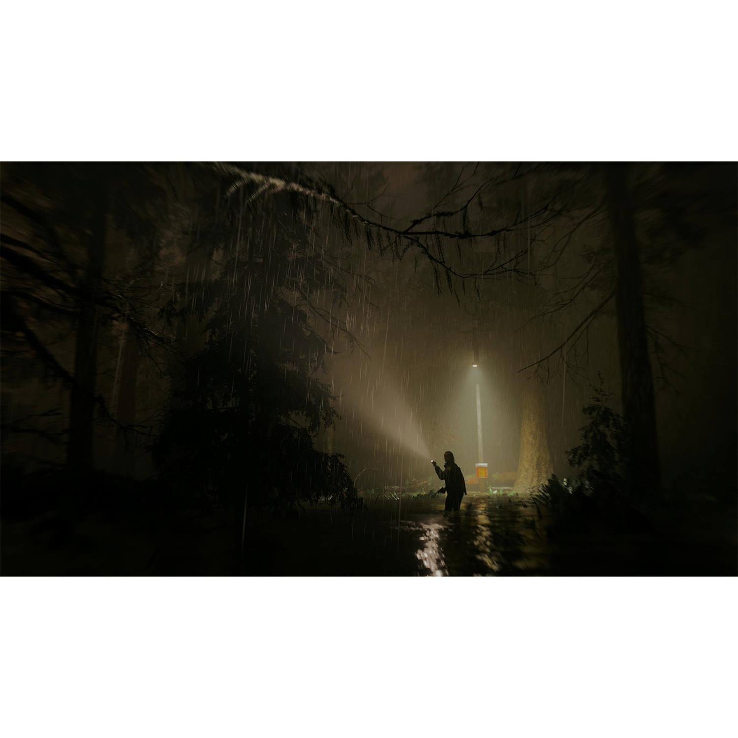 Игра для PS5 Alan Wake 2 - 5