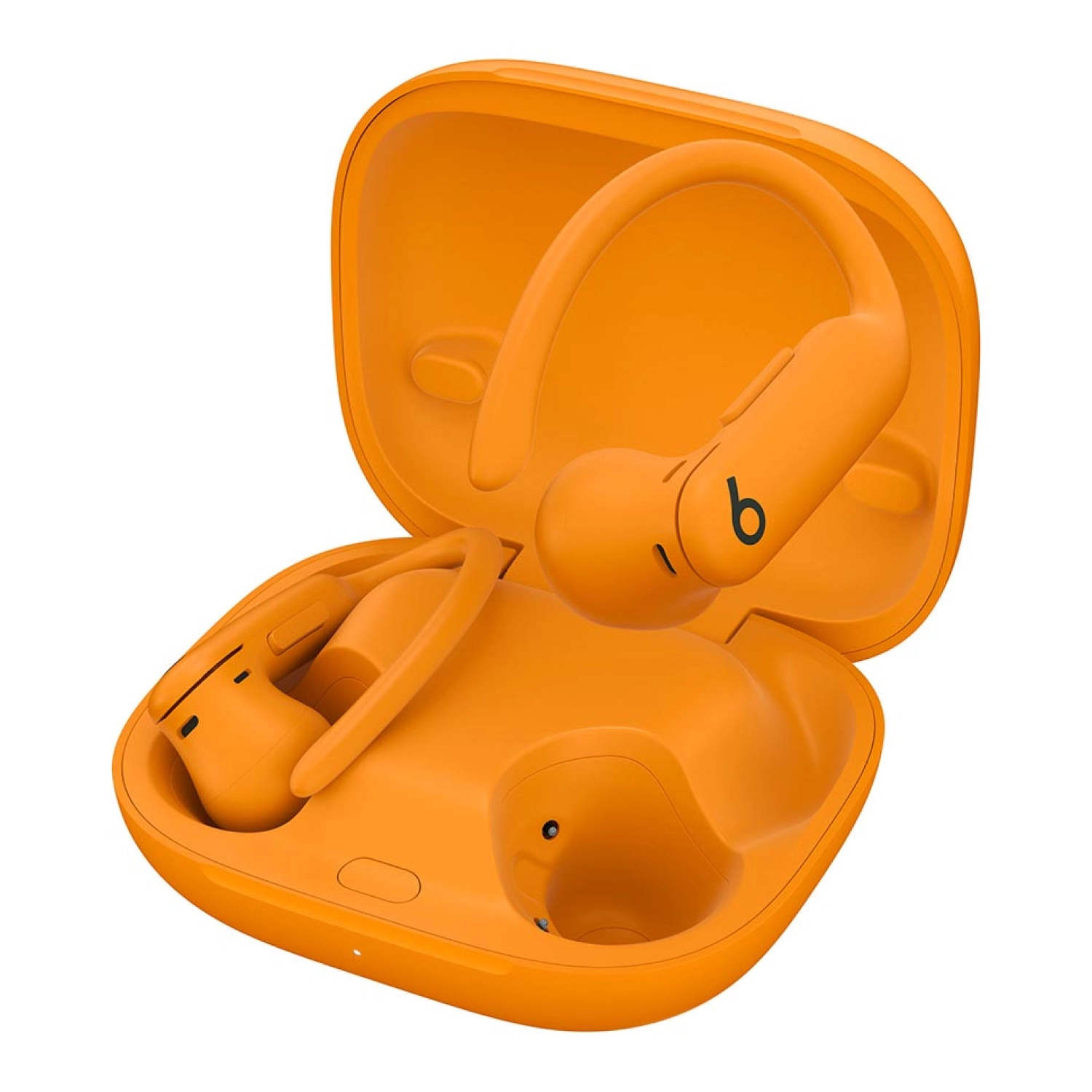 Беспроводные наушники Beats Powerbeats Pro 2 - 1