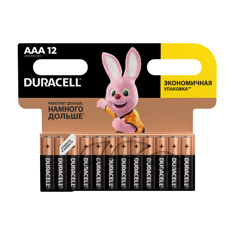 Батарейка Duracell Basic AAA LR03-12BL, 12шт  - 1