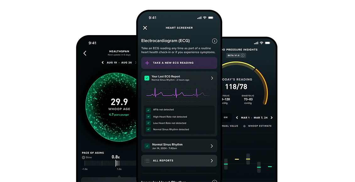 фбвмгло 2.webp