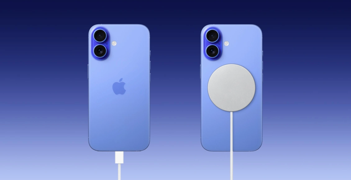 впзансс 4.webp