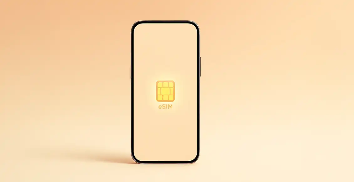 чтесимс 1.webp