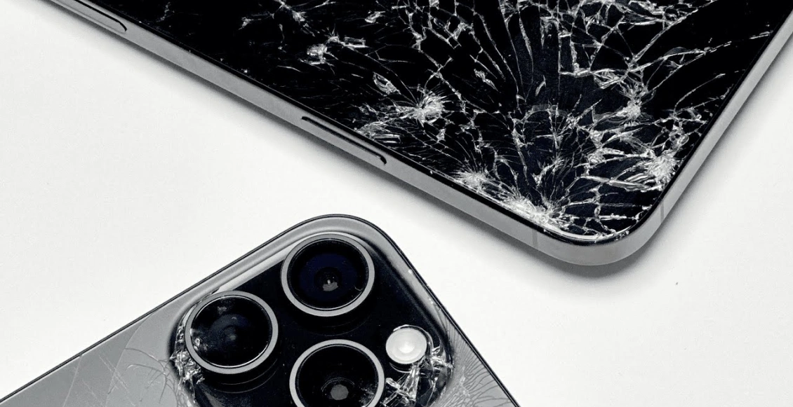 дфпвнсс 1.webp