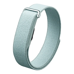 Фитнес-браслет Google Fitbit Air "туманный"