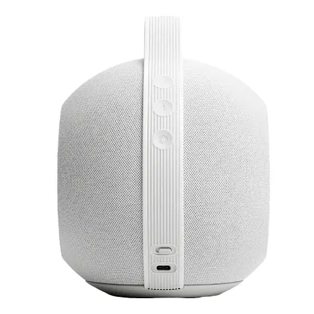 Портативная акустическая система Devialet Mania "белый туман" - 4